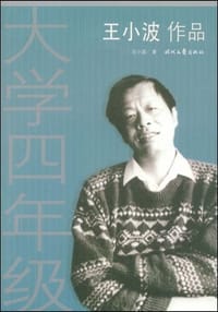 书籍 大学四年级的封面