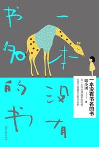 书籍 一本没有书名的书的封面