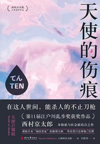 书籍 天使的伤痕的封面