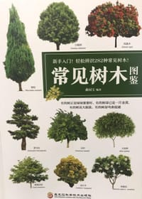 常见树木图鉴