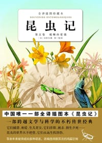书籍 昆虫记的封面