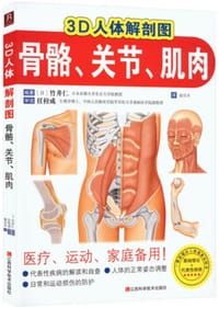 3D人体解剖图：骨骼、关节、肌肉
