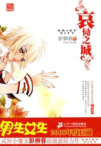 书籍 哀恸之城的封面