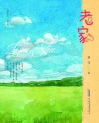 书籍 老家的封面
