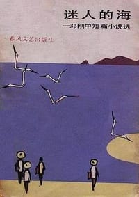 书籍 迷人的海的封面