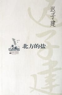 北方的盐 - 迟子建