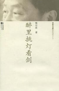 书籍 醉里挑灯看剑的封面