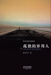 书籍 孤独的异邦人的封面