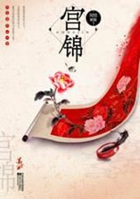 书籍 宫锦的封面