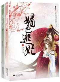 媚色逃妃（上下） - 雪芽