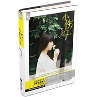 小伤口 - 楼兰筱阁