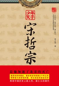 书籍 少年天子宋哲宗的封面