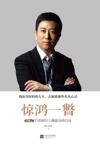 惊鸿一瞥 - 陈伟鸿