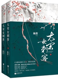 大宋女刺客（上下） - 袖唐