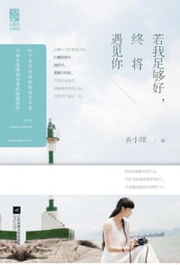 书籍 若我足够好，终将遇见你的封面