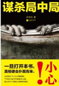 书籍 谋杀局中局的封面