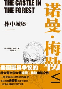 书籍 林中城堡的封面