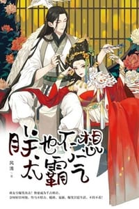 朕也不想太霸气 - 风浅