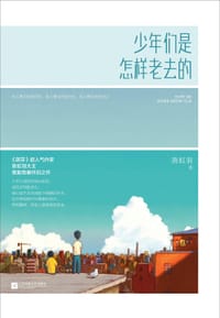 书籍 少年们是怎样老去的的封面