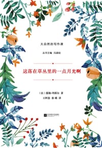 书籍 这落在草丛里的一点月光啊的封面