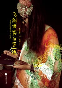 书籍 飞到世界的另一边的封面