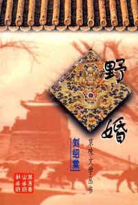 书籍 野婚的封面