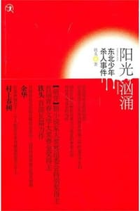 书籍 阳光汹涌（修订版）的封面