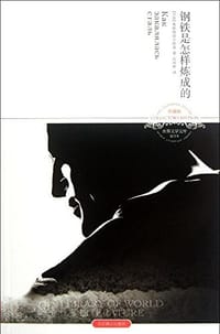 书籍 钢铁是怎样炼成的的封面