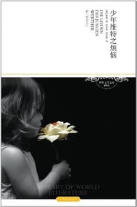 书籍 少年维特之烦恼的封面