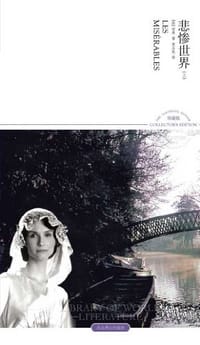 书籍 悲惨世界的封面