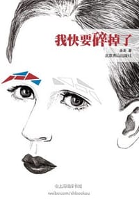书籍 我快要碎掉了的封面