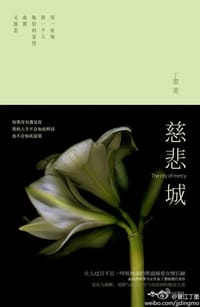 书籍 慈悲城的封面