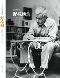 书籍 野棕榈的封面