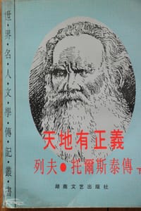 书籍 天地有正义的封面