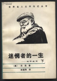 书籍 迷惘者的一生的封面