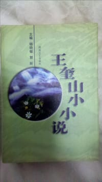 王奎山小小说