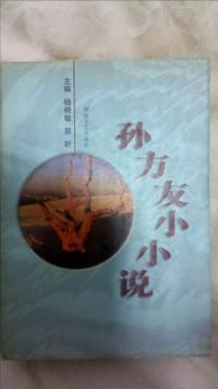 孙方友小小说 - 孙方友