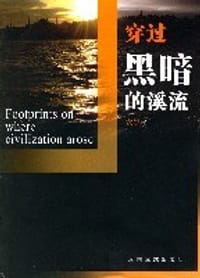 穿过黑暗的溪流