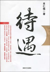 书籍 待遇的封面