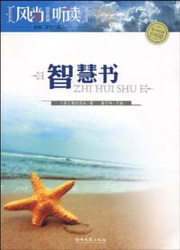 书籍 智慧书的封面