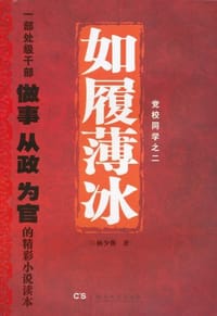 书籍 如履薄冰的封面