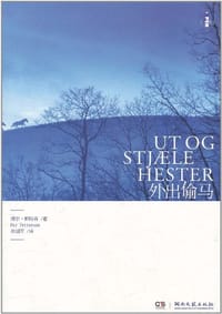 外出偷马