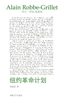 书籍 纽约革命计划的封面