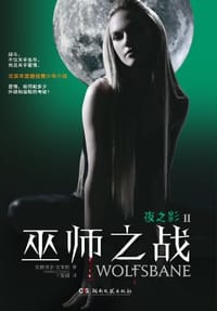 夜之影II