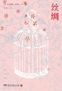 书籍 丝绸的封面