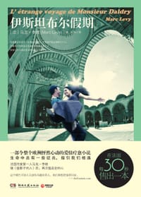 书籍 伊斯坦布尔假期的封面