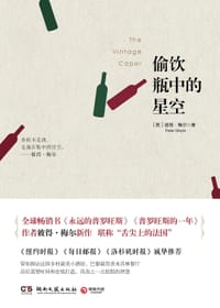 书籍 偷饮瓶中的星空的封面