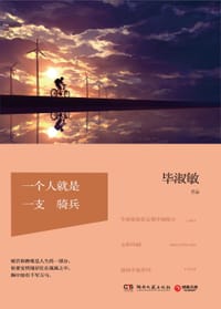 书籍 一个人就是一支骑兵的封面