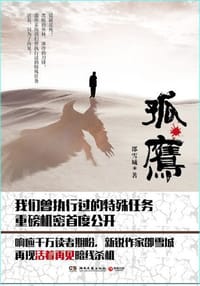 书籍 孤鹰的封面