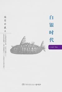 白银时代 - 王小波